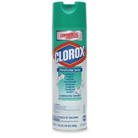 Clorox - 19oz Disinfecting Spray Aerosol Can
