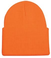 Watch Cap